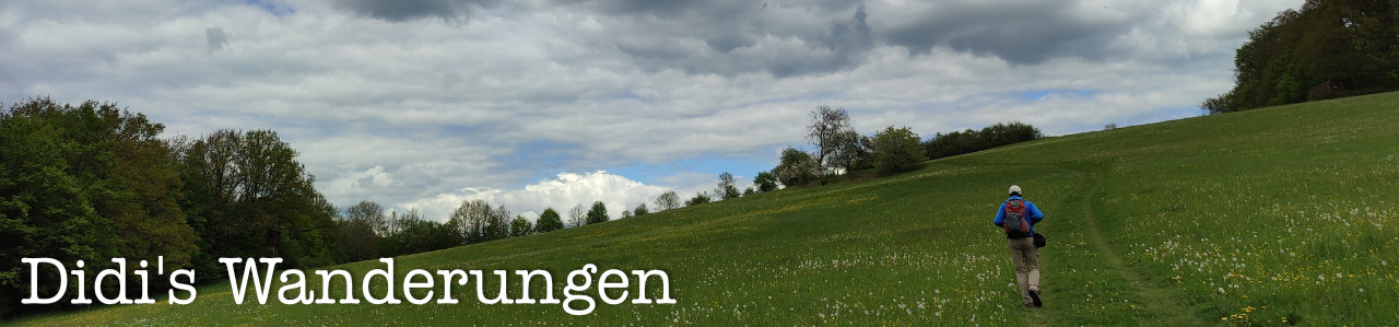 Didis Wanderungen
