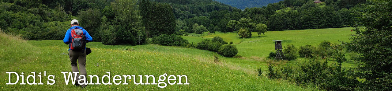 Didis Wanderungen