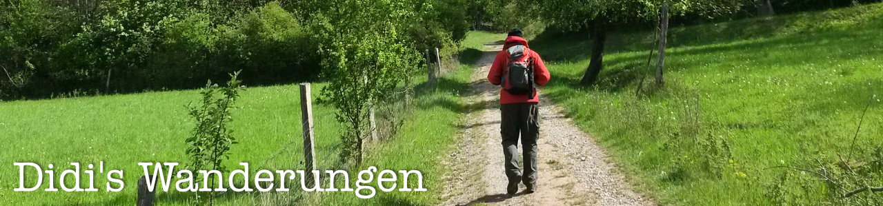 Didis Wanderungen